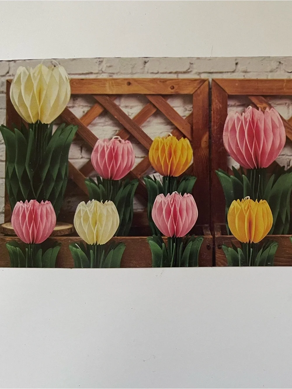 Decorative Tulip Honeycombs-Pink, Yellow, Cream. Set of 12. NEW 💐🌷💐